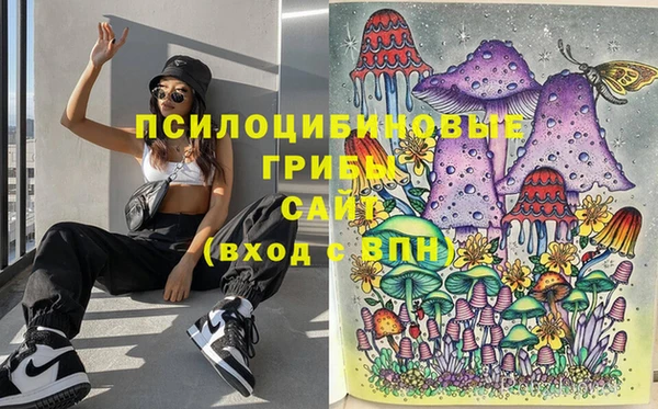 круглые Алексин