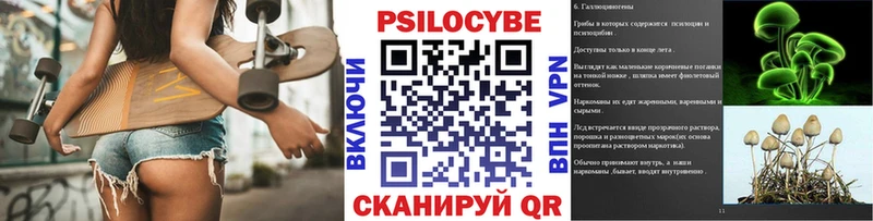 купить закладку  Мыски  Псилоцибиновые грибы Psilocybe 